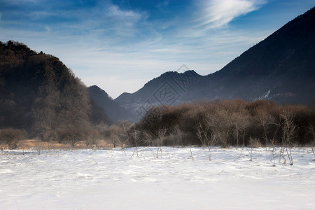 神农架雪景冬天的神农架大九湖背景