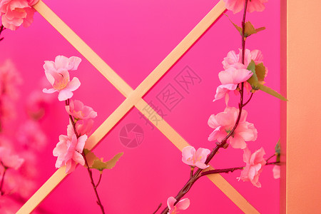 贺新春框架新春喜庆红色桃花装饰背景