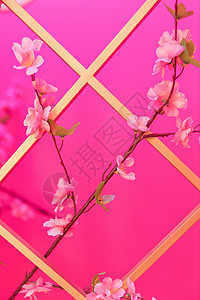 新春喜庆红色桃花装饰背景图片