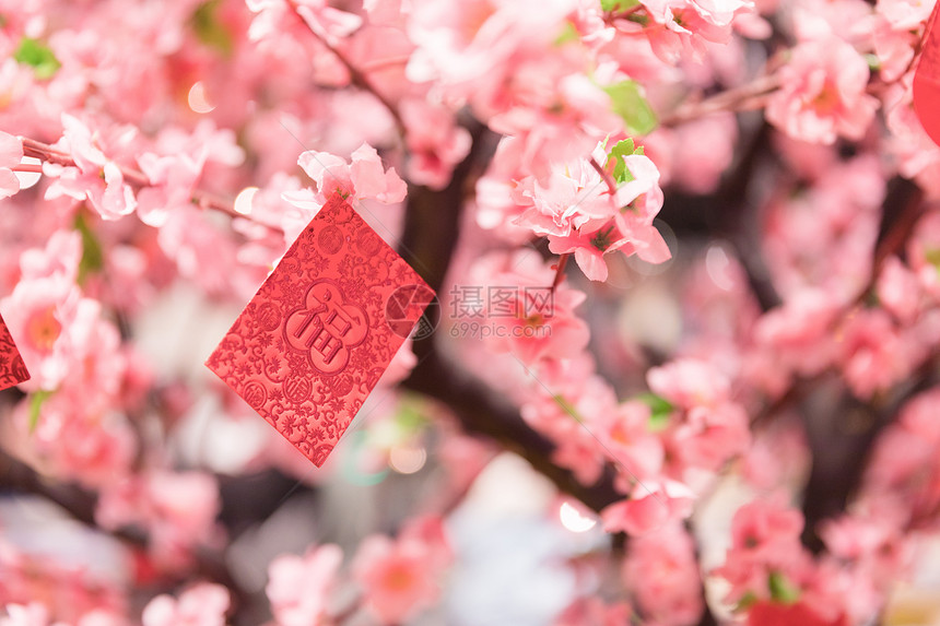 新年挂在桃树上的红包图片