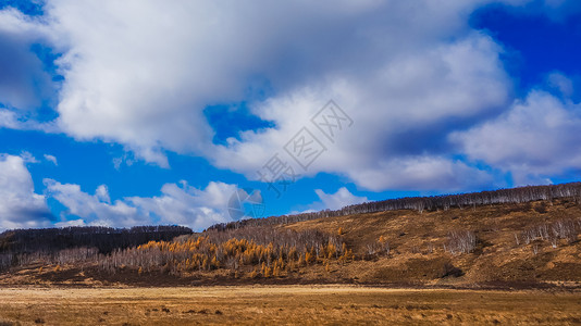 阿尔山景色内蒙古阿尔山自然风光背景