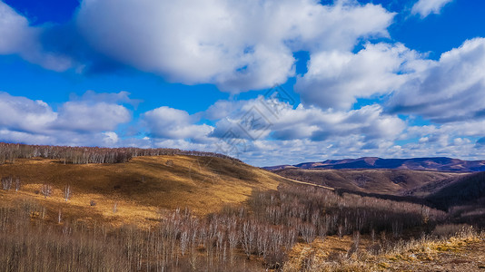 阿尔山景色内蒙古阿尔山自然风光背景