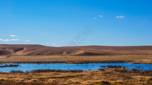 阿尔山景色内蒙古阿尔山自然风光背景