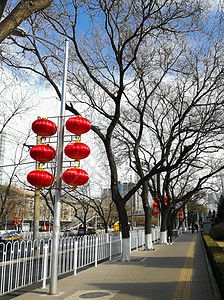 春节大街上喜洋洋的红灯笼高清图片