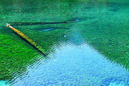 鲁枯湖九寨沟背景