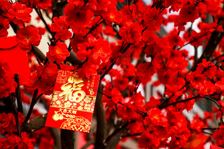 红梅上的福字红包背景图片