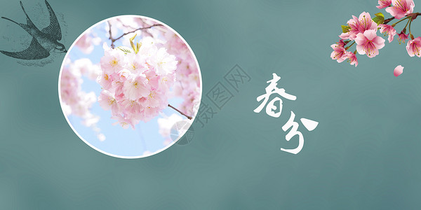 复古色樱花背景春分设计图片