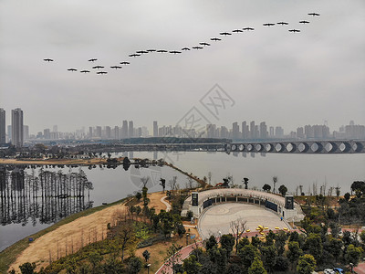 花园道俯瞰城市绿道背景