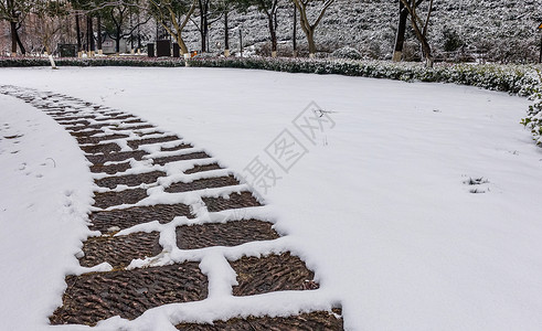 雪中浙江海宁盐官古城景区背景图片