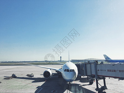 波音787靠桥机场图片