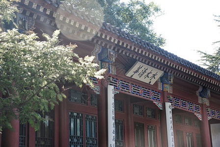 北京语言大学清华大学背景