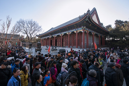 北京地坛庙会过年颐和园庙会背景