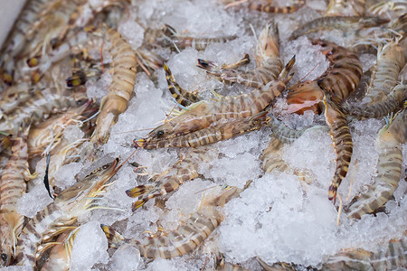 九节虾海鲜海鲜卖场高清图片