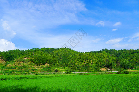 山头田园风光背景