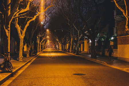 行道树紫薇城市夜晚道路背景