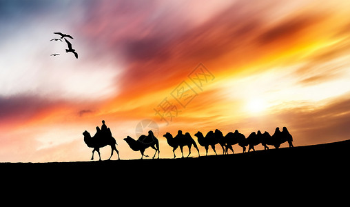 骆驼队素材夕阳下的骆驼队剪影设计图片