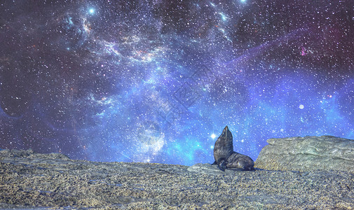 阿拉斯加海狮山峰星轨背景设计图片