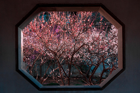 春色满园苏州园林窗户高清图片