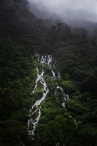 贵州荔波荔波水上森林高清图片