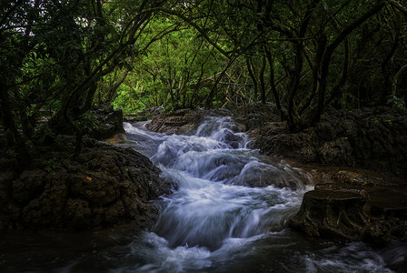 贵州荔波荔波水上森林高清图片