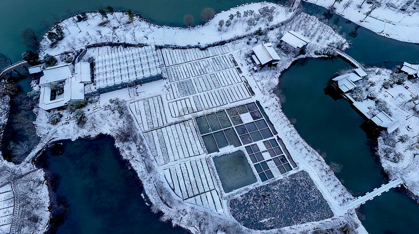 湘湖雪景图片