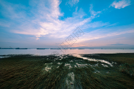 上海吴淞湿地公园日出自然美高清图片素材