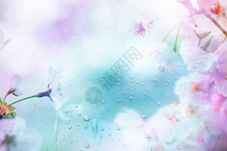 樱花雨滴创意背景图高清图片