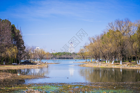 踏青游上海世纪公园踏青背景