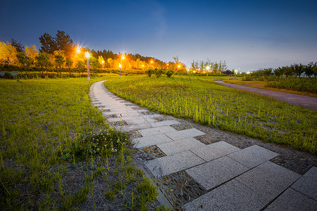 夜景草坪城市绿地背景