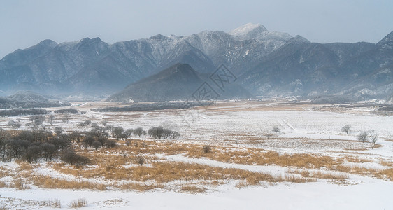 神农架雪景神农架大九湖雪景背景