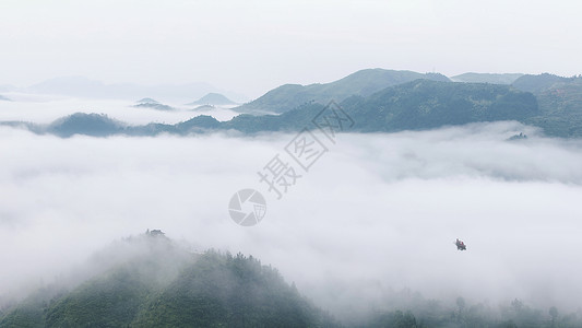 休息的鸟充满中国风意境的山水景色背景