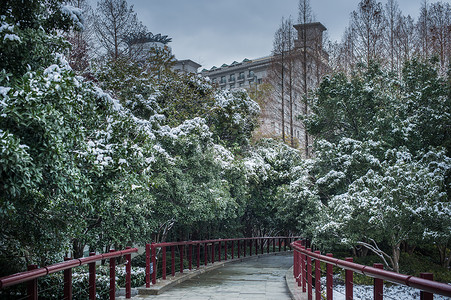 雪中的上海古城公园休闲步道高清图片