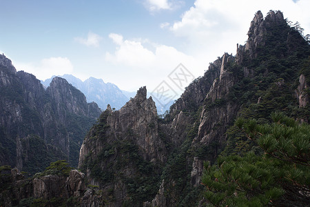 免费景区早春黄山背景