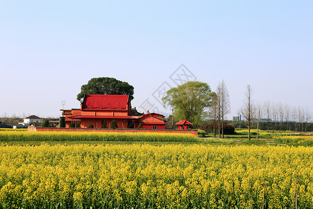 满园春光春漫城乡背景