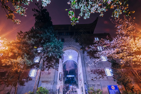 花瓣形拱门武汉大学夜樱樱花背景