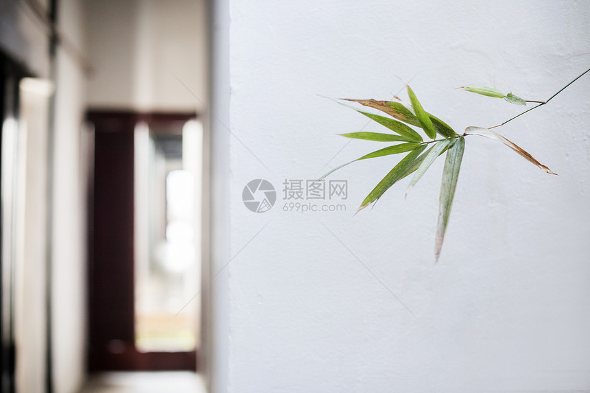中国元素的植物素材图片