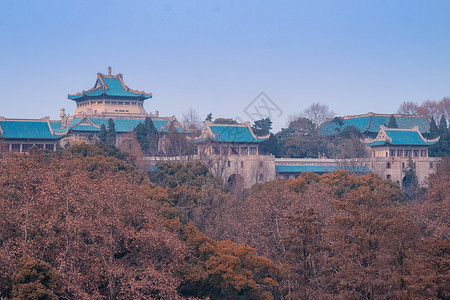 樱顶武汉大学建筑群背景