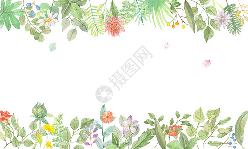手绘植被边框花卉背景设计图片