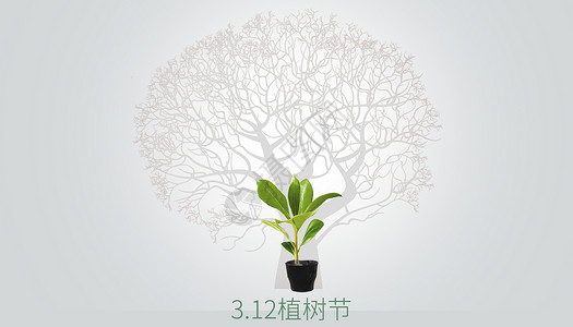 芦笋种植素材植树节设计图片