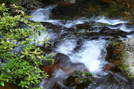 山间小溪背景图片