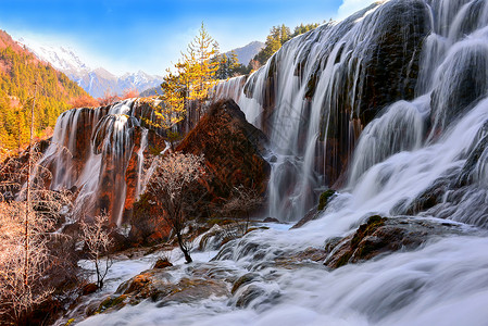 水太阳树素材九寨沟之珍珠滩瀑布背景