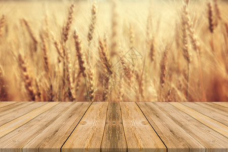 温馨纹理麦子背景桌面设计图片