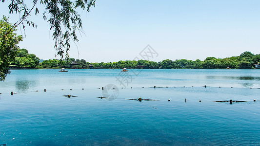 苏醒春天的西湖背景