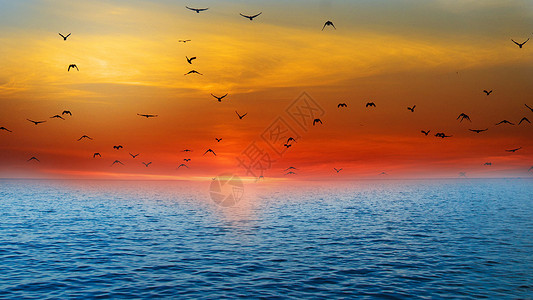 黄昏海水夕阳的海设计图片