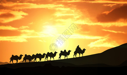 一群骆驼团队精神剪影设计图片