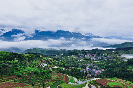 茗岙梯田温州茗岙背景