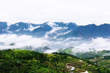 温州茗岙图片