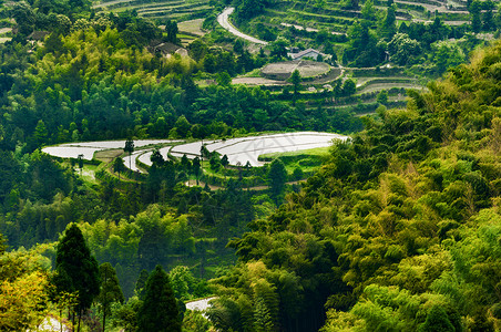 温州茗岙梯田背景