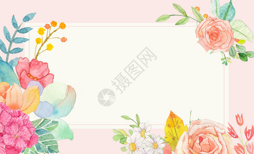 夏秋季植物花环植物花卉背景设计图片