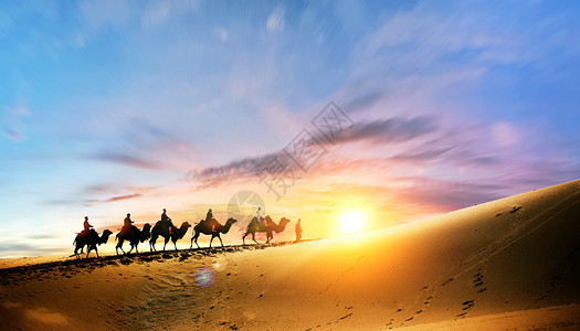 戈壁骆驼团队精神设计图片